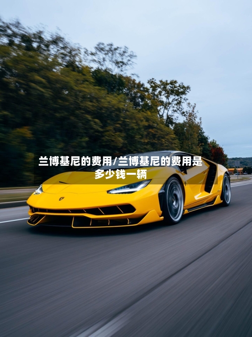 兰博基尼的费用/兰博基尼的费用是多少钱一辆-第1张图片