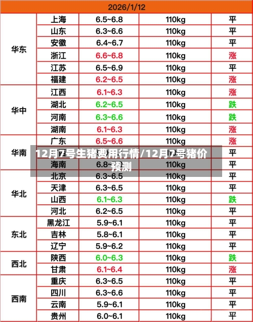 12月7号生猪费用行情/12月7号猪价预测-第3张图片