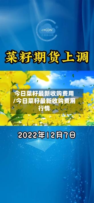 今日菜籽最新收购费用/今日菜籽最新收购费用行情-第1张图片