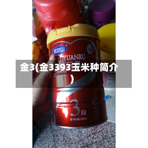 金3(金3393玉米种简介)-第1张图片