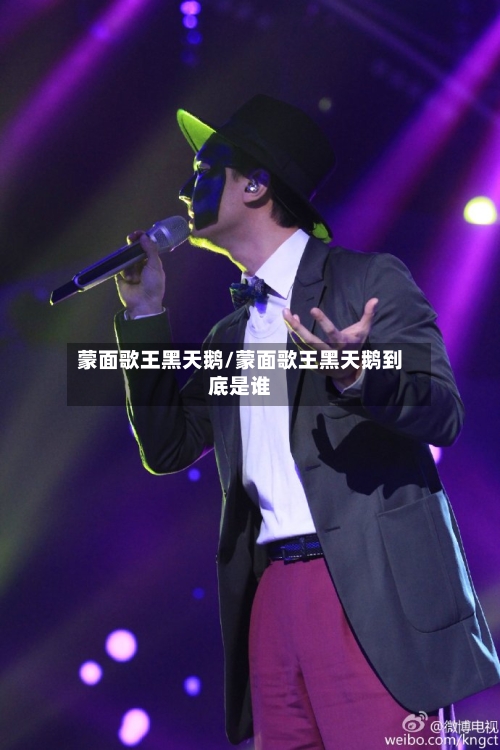 蒙面歌王黑天鹅/蒙面歌王黑天鹅到底是谁-第1张图片