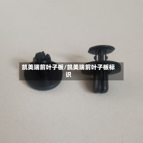 凯美瑞前叶子板/凯美瑞前叶子板标识-第1张图片