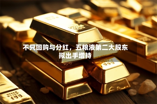不只回购与分红，五粮液第二大股东拟出手增持-第3张图片