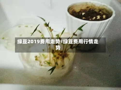 绿豆2019费用走势/绿豆费用行情走势-第1张图片