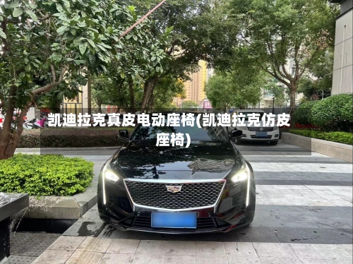 凯迪拉克真皮电动座椅(凯迪拉克仿皮座椅)-第1张图片