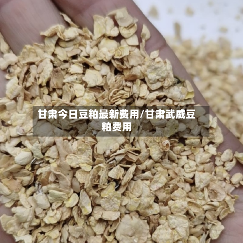 甘肃今日豆粕最新费用/甘肃武威豆粕费用-第1张图片