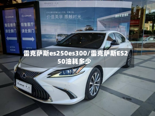 雷克萨斯es250es300/雷克萨斯ES250油耗多少-第3张图片