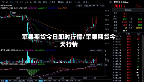 苹果期货今日即时行情/苹果期货今天行情-第1张图片