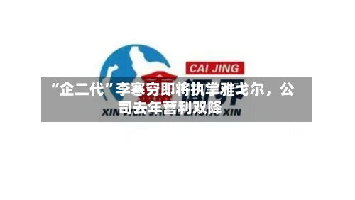 “企二代	”李寒穷即将执掌雅戈尔，公司去年营利双降-第1张图片
