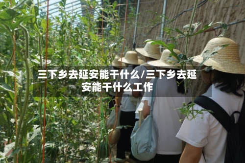 三下乡去延安能干什么/三下乡去延安能干什么工作-第3张图片