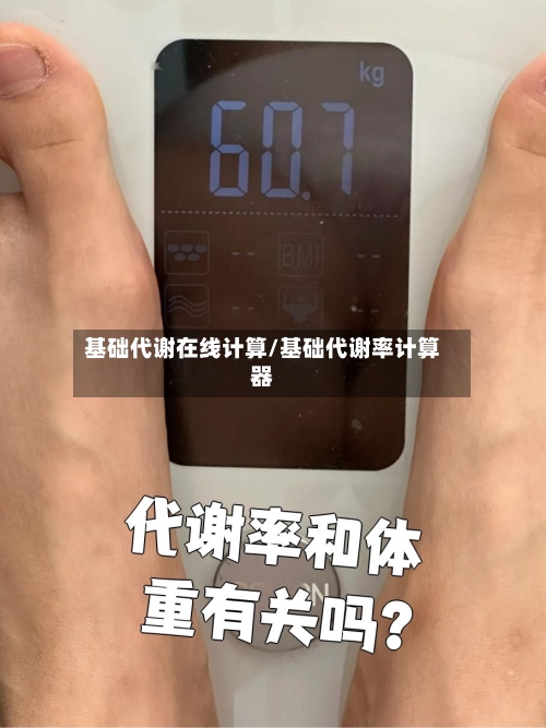 基础代谢在线计算/基础代谢率计算器-第3张图片