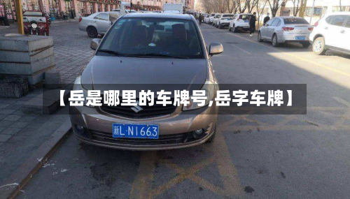 【岳是哪里的车牌号,岳字车牌】-第1张图片