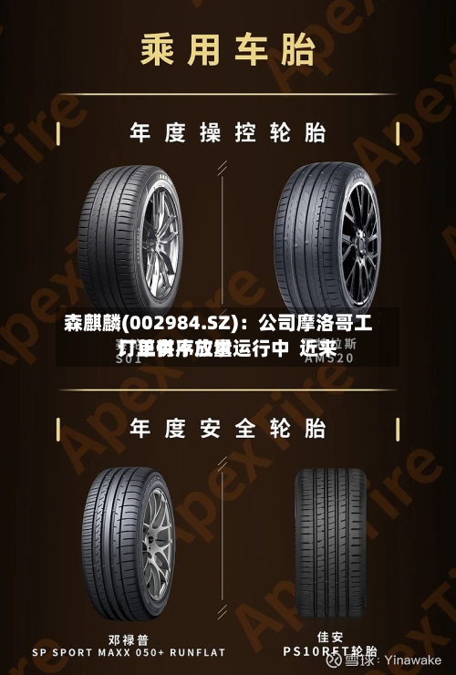 森麒麟(002984.SZ)：公司摩洛哥工厂正有序放量运行中  近来订单供不应求-第1张图片