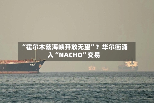 “霍尔木兹海峡开放无望	”？华尔街涌入“NACHO”交易-第1张图片
