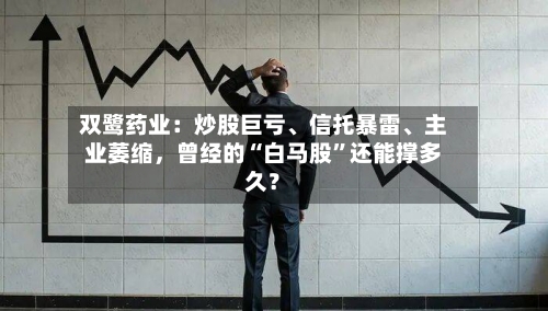 双鹭药业：炒股巨亏、信托暴雷、主业萎缩	，曾经的“白马股”还能撑多久？-第2张图片