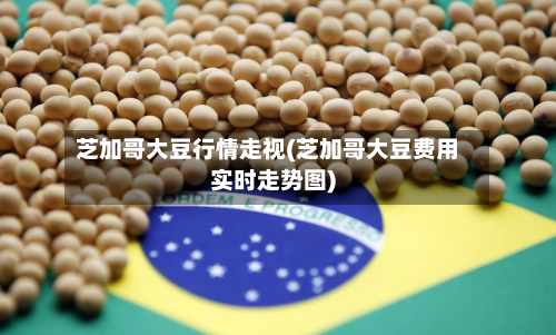 芝加哥大豆行情走视(芝加哥大豆费用实时走势图)-第1张图片