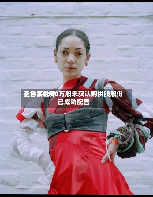 圣马丁世界：合共6690万股未获认购供股股份已成功配售-第1张图片