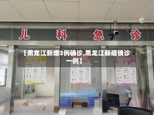 【黑龙江新增3例确诊,黑龙江新增确诊一例】-第2张图片