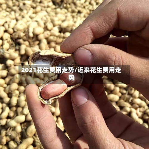 2021花生费用走势/近来花生费用走势-第2张图片