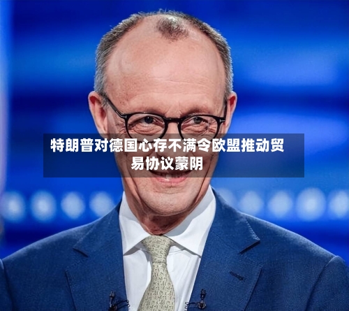 特朗普对德国心存不满令欧盟推动贸易协议蒙阴-第2张图片