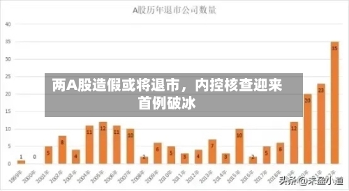 两A股造假或将退市，内控核查迎来首例破冰-第2张图片