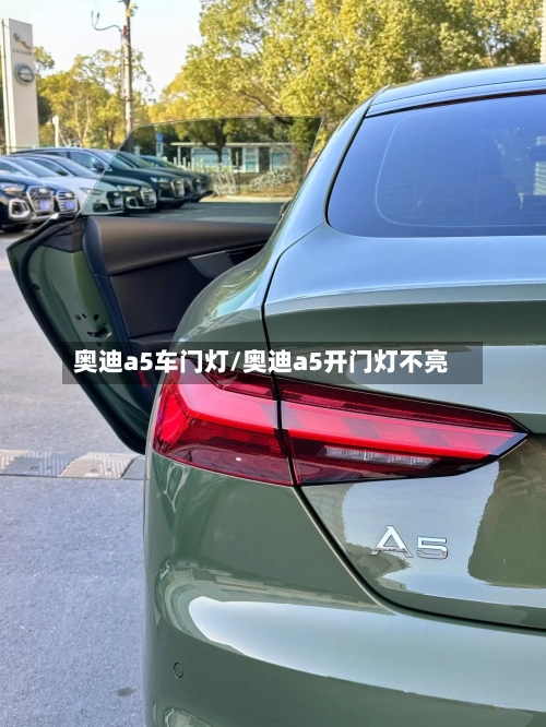 奥迪a5车门灯/奥迪a5开门灯不亮-第1张图片