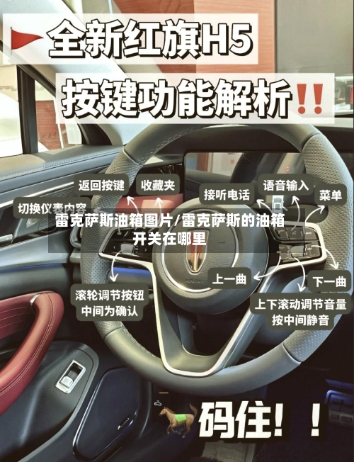 雷克萨斯油箱图片/雷克萨斯的油箱开关在哪里-第1张图片