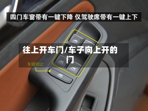 往上开车门/车子向上开的门-第1张图片