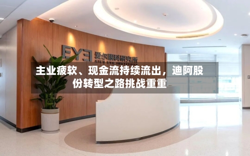 主业疲软、现金流持续流出	，迪阿股份转型之路挑战重重-第1张图片