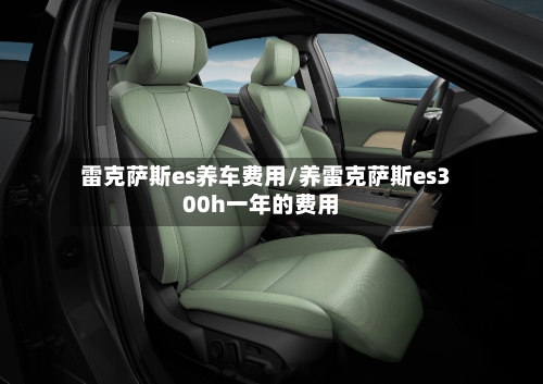 雷克萨斯es养车费用/养雷克萨斯es300h一年的费用-第2张图片