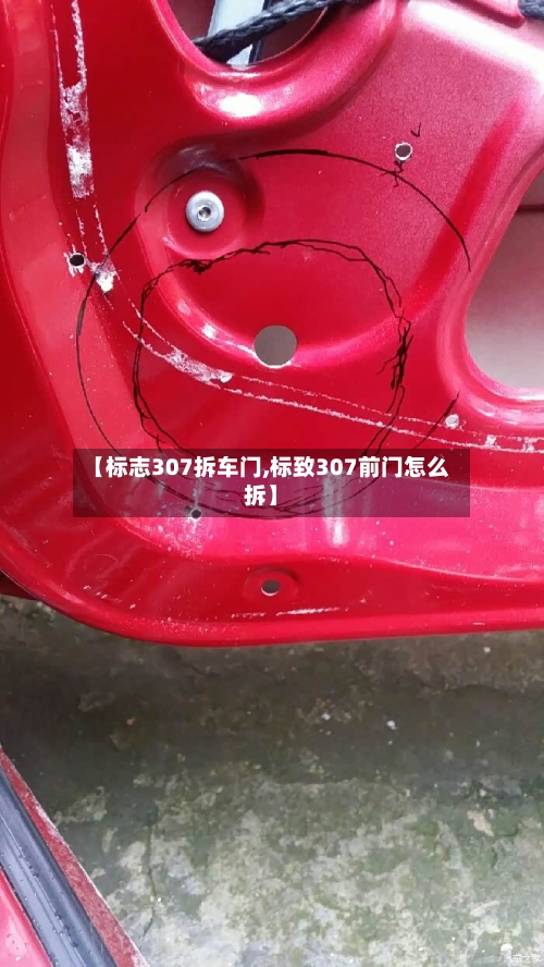【标志307拆车门,标致307前门怎么拆】-第1张图片