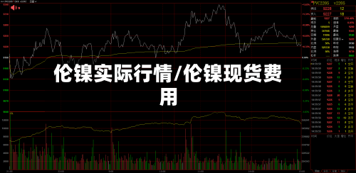 伦镍实际行情/伦镍现货费用-第1张图片