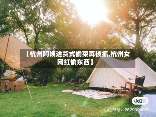 【杭州阿姨进货式偷菜再被抓,杭州女网红偷东西】-第1张图片