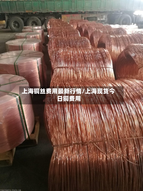 上海铜丝费用最新行情/上海现货今日铜费用-第2张图片