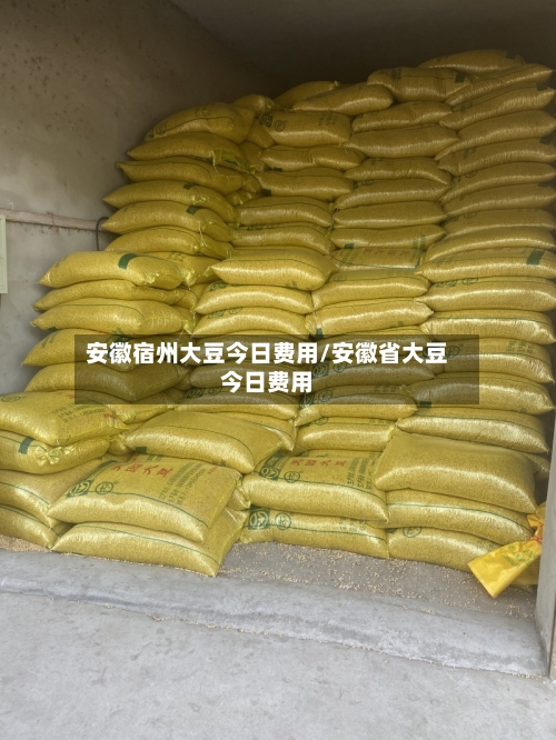 安徽宿州大豆今日费用/安徽省大豆今日费用-第2张图片