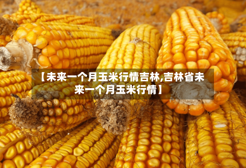 【未来一个月玉米行情吉林,吉林省未来一个月玉米行情】-第1张图片