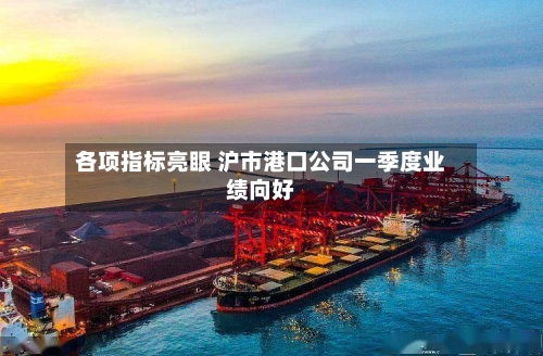 各项指标亮眼 沪市港口公司一季度业绩向好-第2张图片