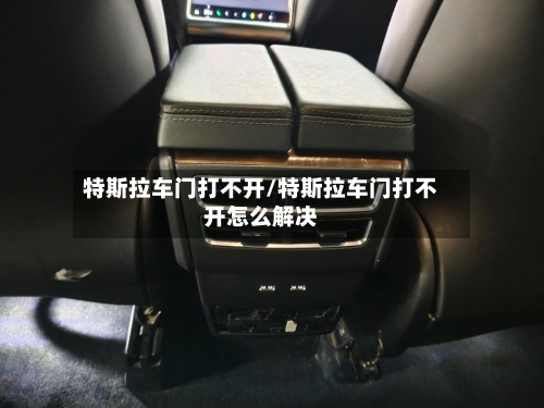 特斯拉车门打不开/特斯拉车门打不开怎么解决-第1张图片