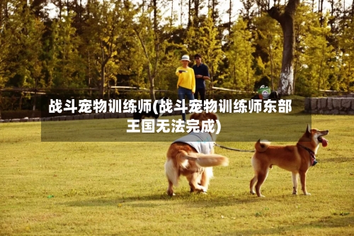 战斗宠物训练师(战斗宠物训练师东部王国无法完成)-第1张图片