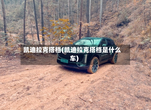 凯迪拉克搭档(凯迪拉克搭档是什么车)-第2张图片