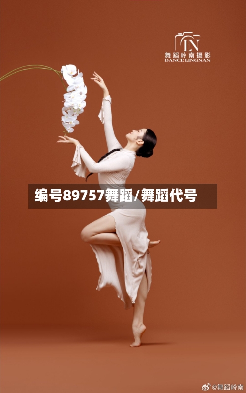 编号89757舞蹈/舞蹈代号-第3张图片