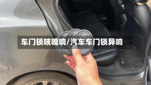 车门锁吱嘎响/汽车车门锁异响-第1张图片