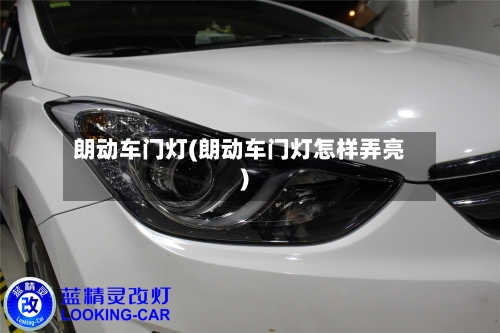 朗动车门灯(朗动车门灯怎样弄亮)-第2张图片