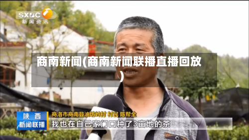 商南新闻(商南新闻联播直播回放)-第3张图片