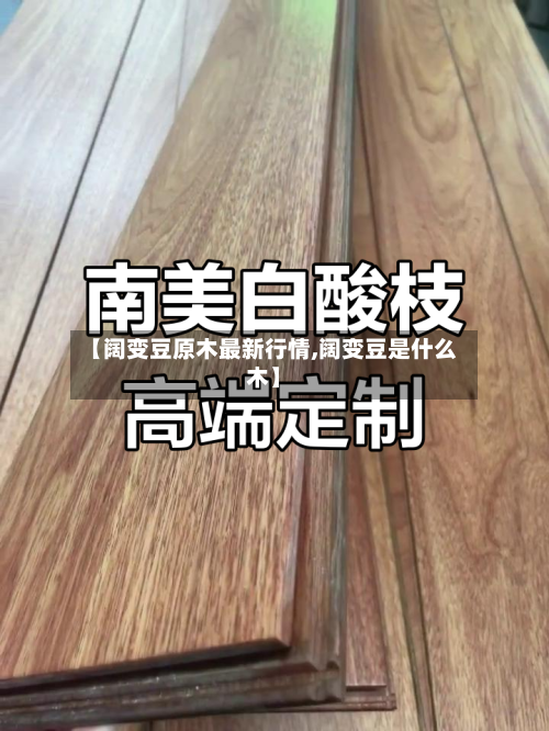 【阔变豆原木最新行情,阔变豆是什么木】-第1张图片