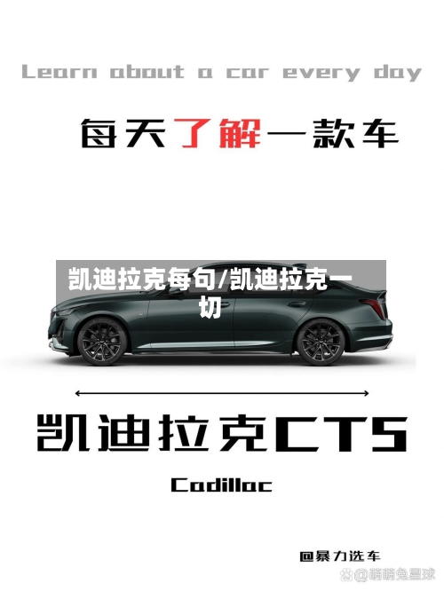 凯迪拉克每句/凯迪拉克一切-第2张图片