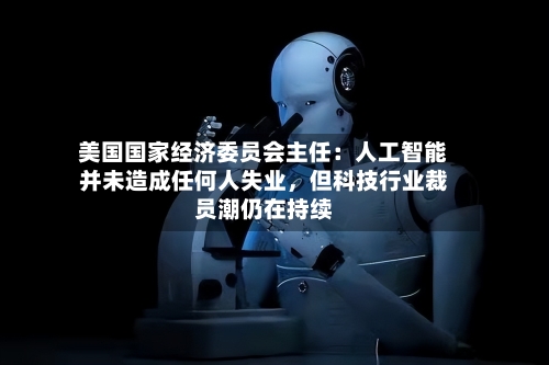 美国国家经济委员会主任：人工智能并未造成任何人失业	，但科技行业裁员潮仍在持续-第2张图片