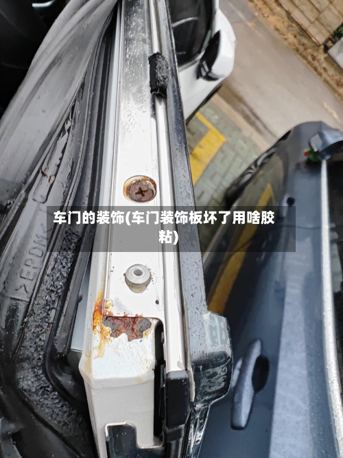 车门的装饰(车门装饰板坏了用啥胶粘)-第1张图片
