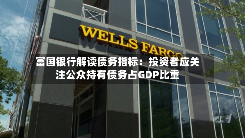 富国银行解读债务指标：投资者应关注公众持有债务占GDP比重-第2张图片