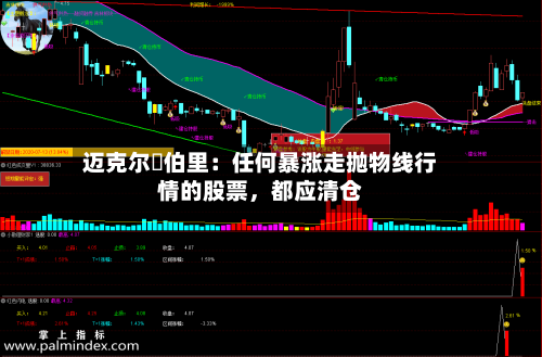 迈克尔・伯里：任何暴涨走抛物线行情的股票	，都应清仓-第1张图片
